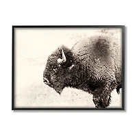 Shaggy Buffalo Black Framed Canvas Art Print