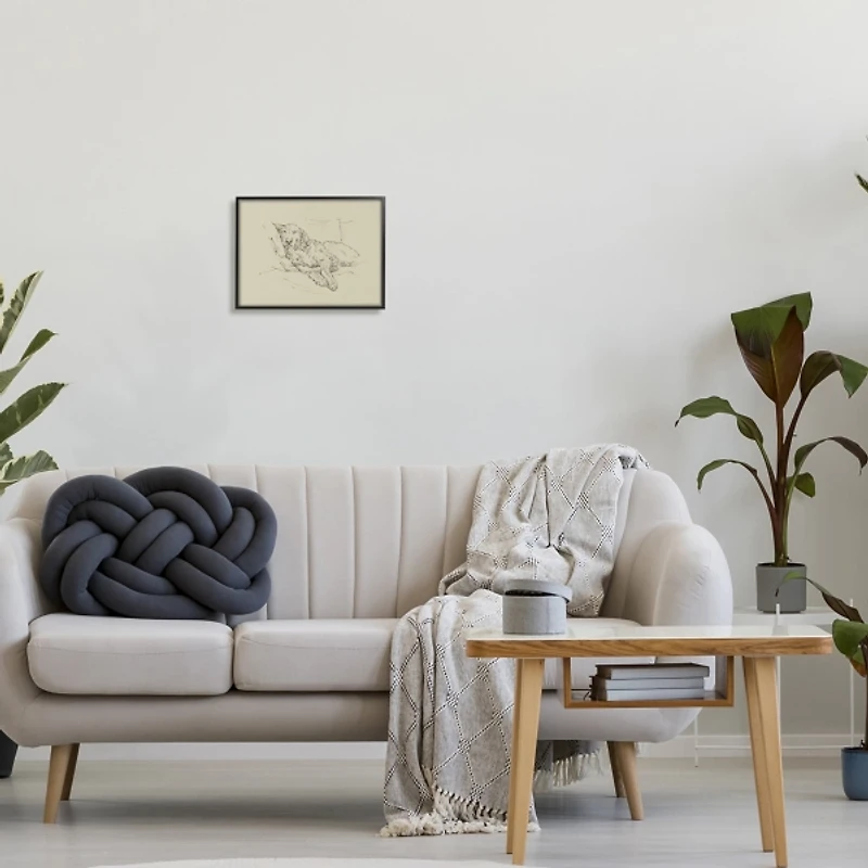 Fluffy Retriever Napping Dog Framed Canvas Print