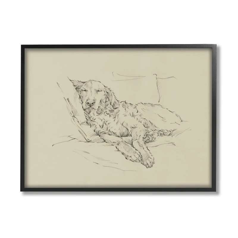 Fluffy Retriever Napping Dog Framed Canvas Print