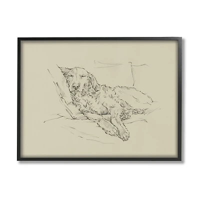 Fluffy Retriever Napping Dog Framed Canvas Print
