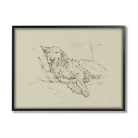Fluffy Retriever Napping Dog Framed Canvas Print