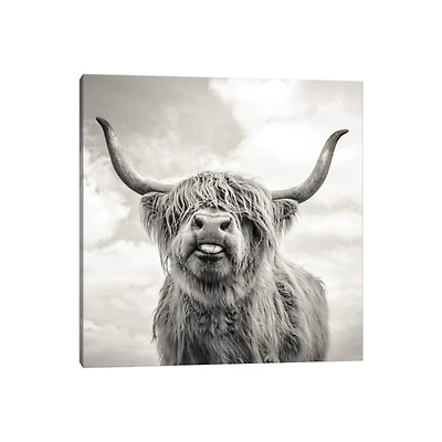 Funny Girl Canvas Art Print, 37x37