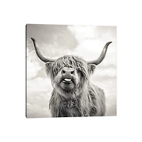 Funny Girl Canvas Art Print, 37x37