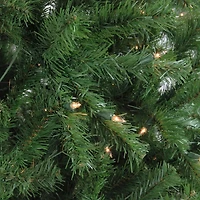 7.5 ft. Clear Lit Waterton Spruce Christmas Tree