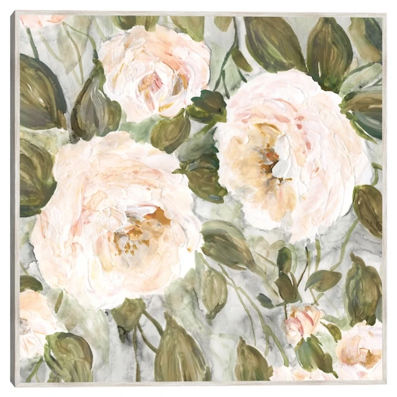 Soft California Roses Framed Canvas Art