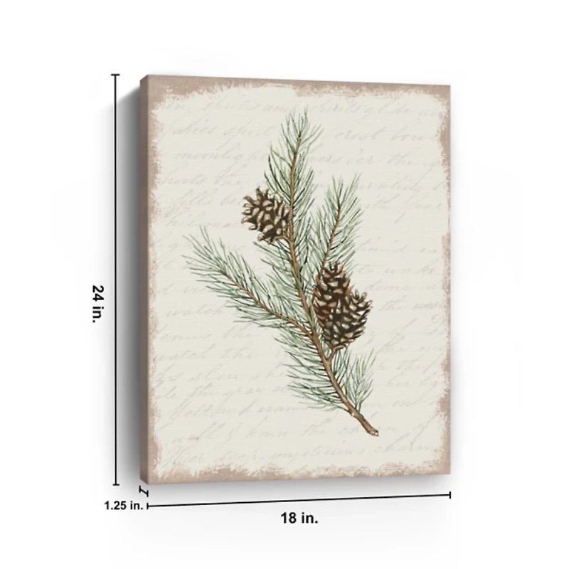 Christmas Pine and Cone Canvas Art Print