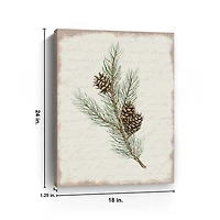 Christmas Pine and Cone Canvas Art Print