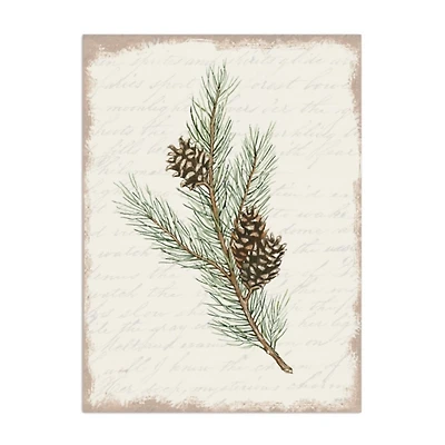 Christmas Pine and Cone Canvas Art Print