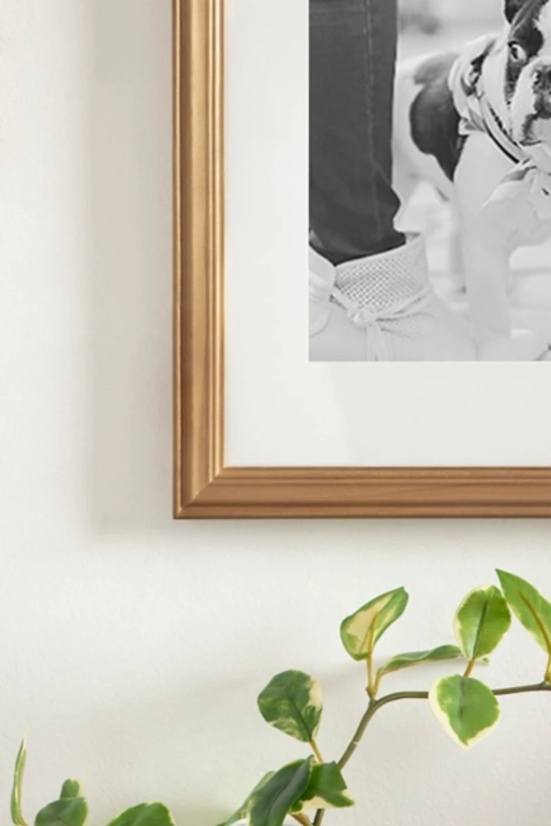 Natural 10-pc. Gallery Wall Frame and Shelf Set