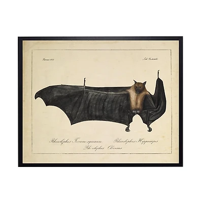 Vintage Black Bat Halloween Wall Plaque