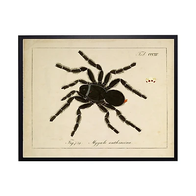 Vintage Black Spider Halloween Wall Plaque