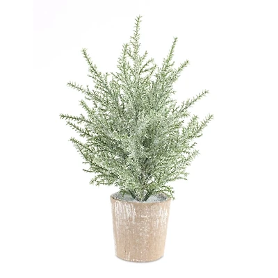 12 in. Potted Icy Pine Trees, Set of 6