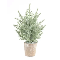 12 in. Potted Icy Pine Trees, Set of 6