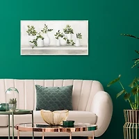 Plant Shelf Life Framed Canvas Art Print