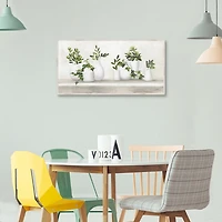 Plant Shelf Life Framed Canvas Art Print