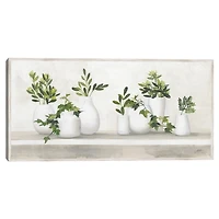 Plant Shelf Life Framed Canvas Art Print