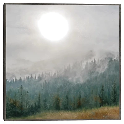 Mountain Moonglow Framed Canvas Art Print