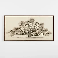 Wide Oak Tree Framed Art Print