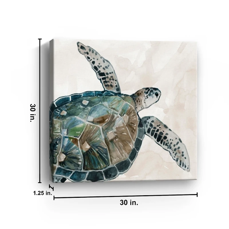 Neutral Sea Turtle I Giclee Canvas Art Print