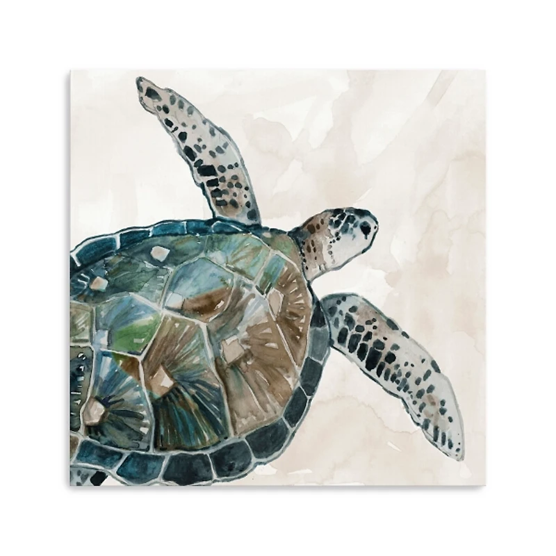 Neutral Sea Turtle I Giclee Canvas Art Print