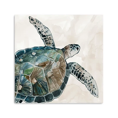Neutral Sea Turtle I Giclee Canvas Art Print
