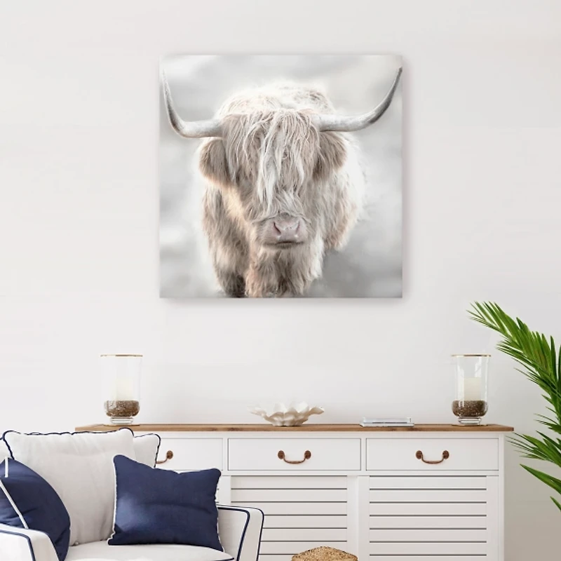 Soft Solo Highland Giclee Canvas Art Print
