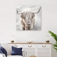 Soft Solo Highland Giclee Canvas Art Print