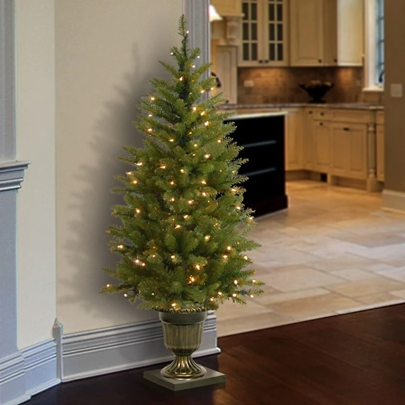 4 ft. Pre-Lit Dunhill Fir Potted Christmas Tree