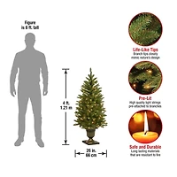 4 ft. Pre-Lit Dunhill Fir Potted Christmas Tree