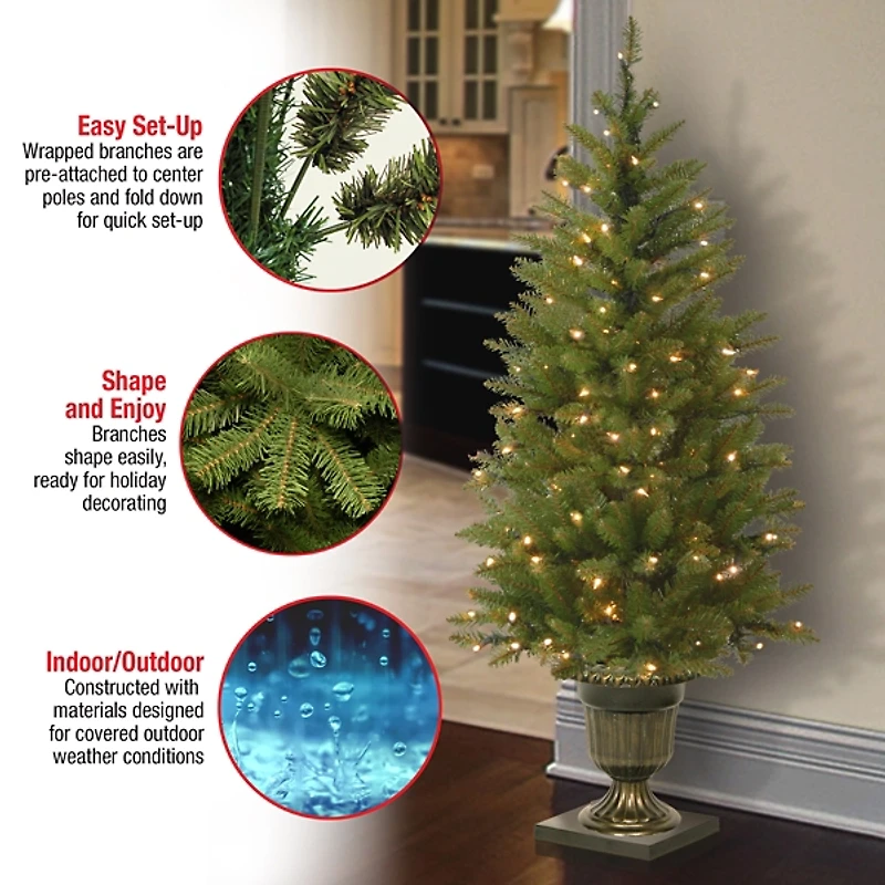 4 ft. Pre-Lit Dunhill Fir Potted Christmas Tree