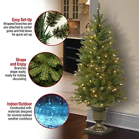 4 ft. Pre-Lit Dunhill Fir Potted Christmas Tree
