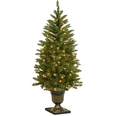 4 ft. Pre-Lit Dunhill Fir Potted Christmas Tree