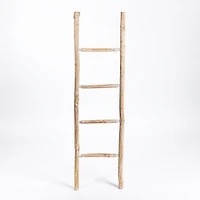 Whitewashed Natural Wood Leaning Ladder