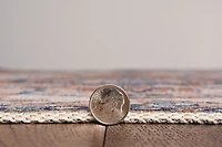 Ivory and Gold Julian Washable Area Rug, 5x7