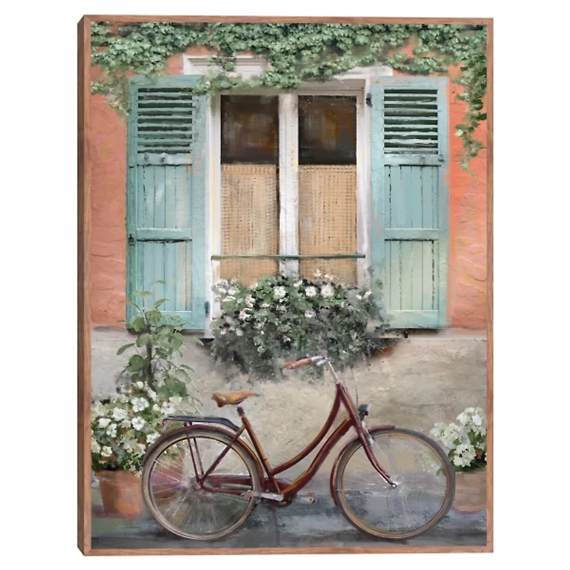 Velo de Montpellier Framed Canvas Art Print