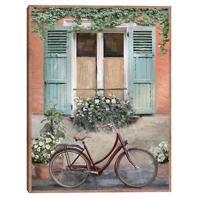 Velo de Montpellier Framed Canvas Art Print