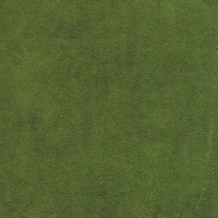 Green Velvet Upholstered Black Legs Accent Chair