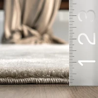 Whitlow Gray Shag Washable Area Rug, 5x8