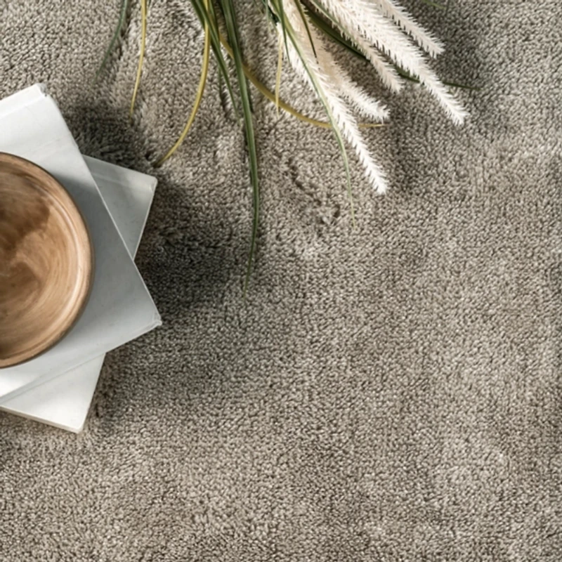 Whitlow Gray Shag Washable Area Rug, 5x8