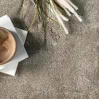 Whitlow Gray Shag Washable Area Rug, 5x8