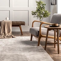 Whitlow Gray Shag Washable Area Rug, 5x8