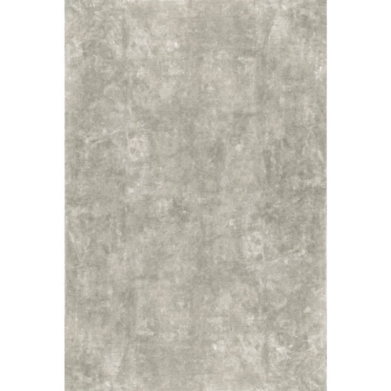 Whitlow Gray Shag Washable Area Rug, 5x8