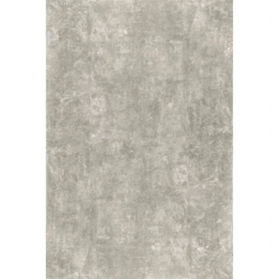 Whitlow Gray Shag Washable Area Rug, 5x8