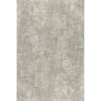 Whitlow Gray Shag Washable Area Rug, 5x8