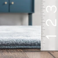 Whitlow Blue Shag Washable Area Rug