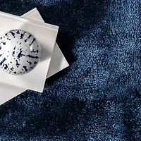 Whitlow Navy Shag Washable Area Rug, 8x10