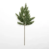 Natural Green Pine Stem