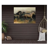 Free Rein Outdoor Canvas Art Print