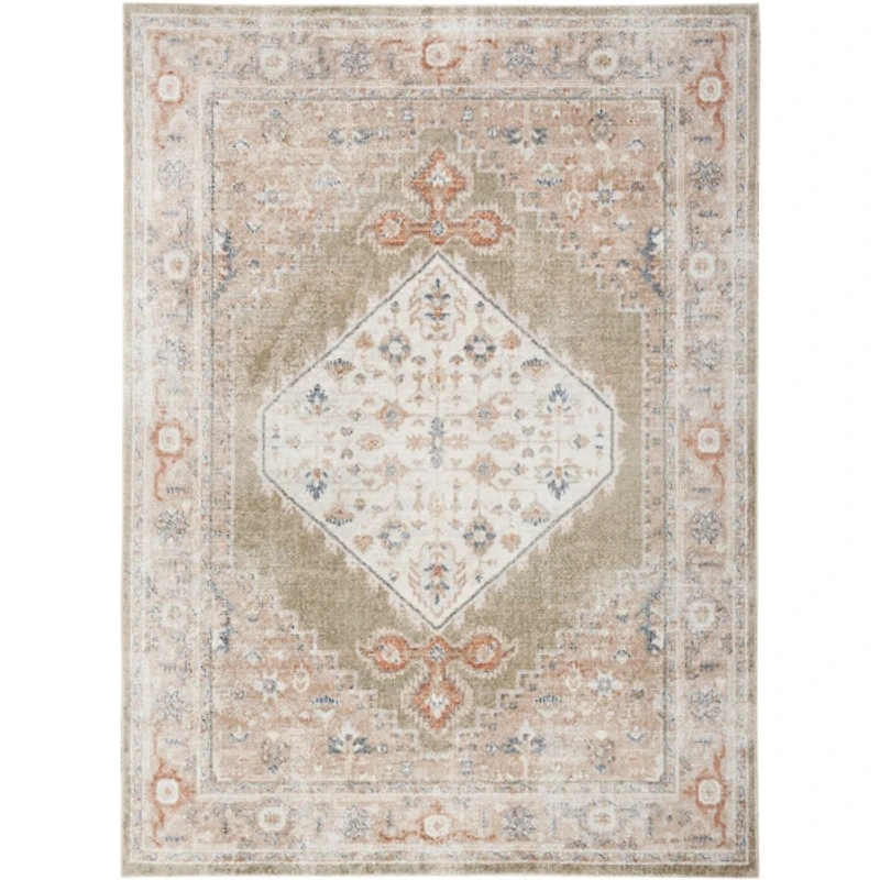 Sage Distressed Medallion Washable Area Rug, 5x7