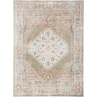 Sage Distressed Medallion Washable Area Rug, 5x7